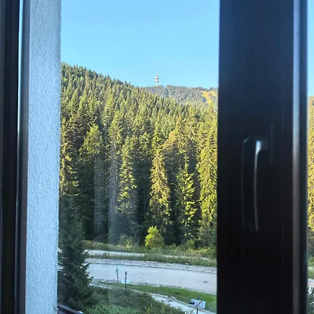 тайната - The Secret