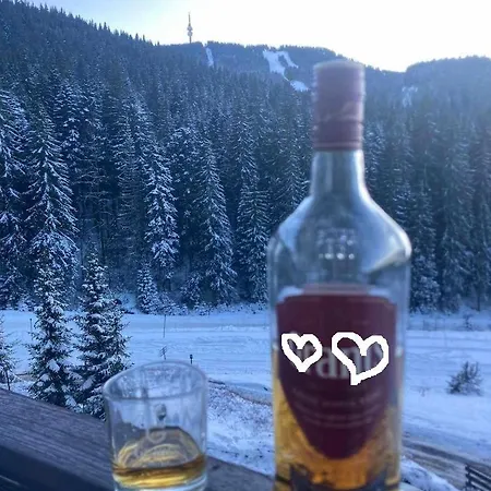 тайната - The Secret Appartement Pamporovo