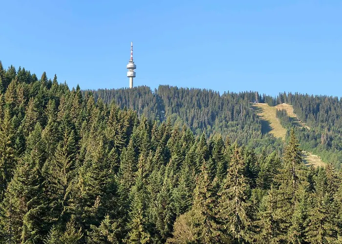 тайната - The Secret Lejlighed Pamporovo