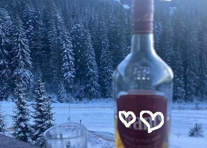 тайната - The Secret Lejlighed Pamporovo